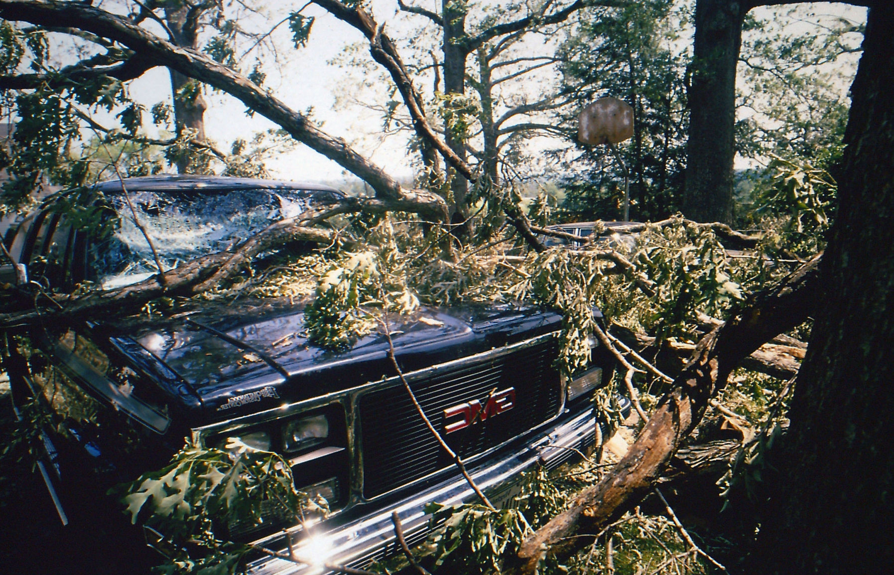 Windstorm of 1993